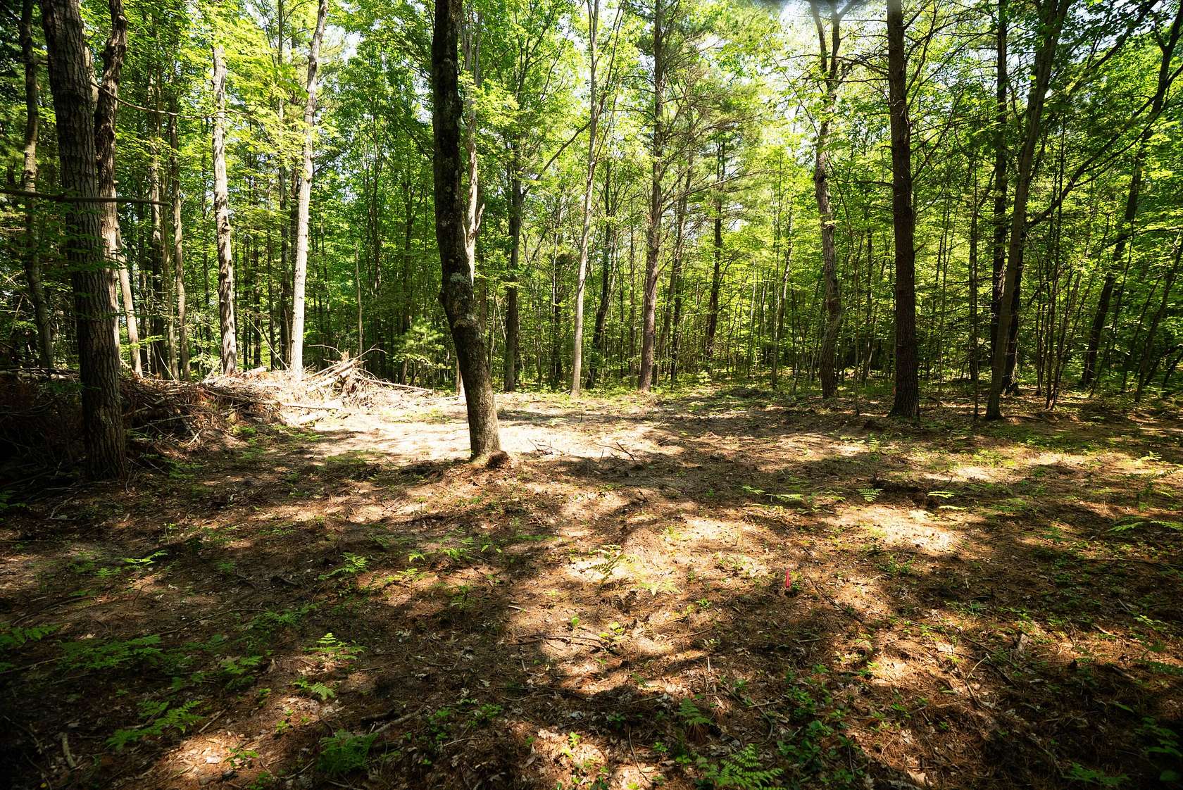 11.4 Acres of Recreational & Residential Land for Sale in Hart, Michigan