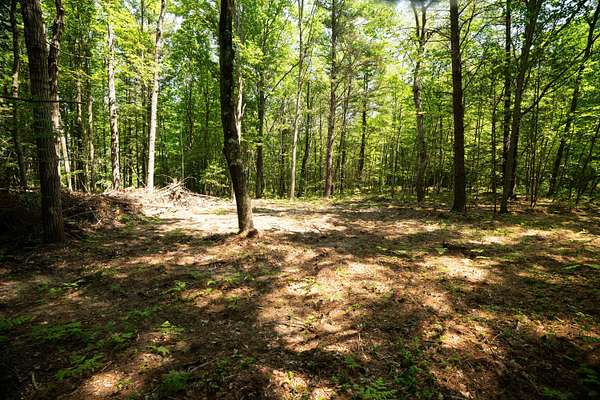 11.4 Acres of Recreational & Residential Land for Sale in Hart, Michigan
