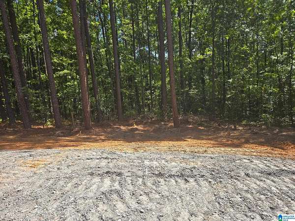 0.46 Acres of Residential Land for Sale in McCalla, Alabama