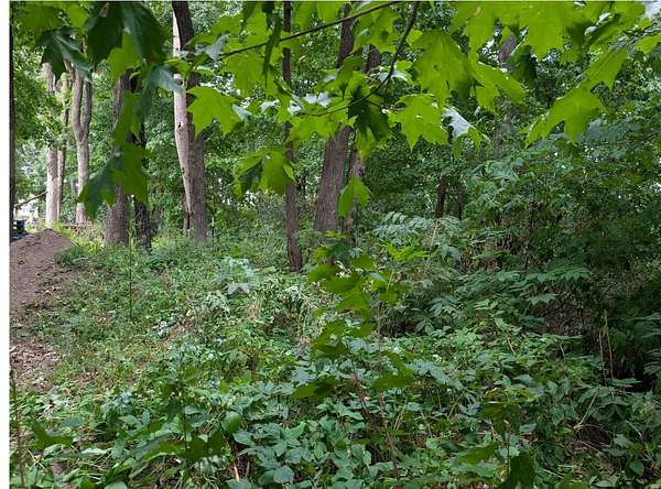 0.68 Acres of Residential Land for Sale in Barron, Wisconsin