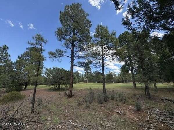 0.63 Acres of Residential Land for Sale in Show Low, Arizona