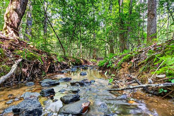10.2 Acres of Land for Sale in Pelzer, South Carolina