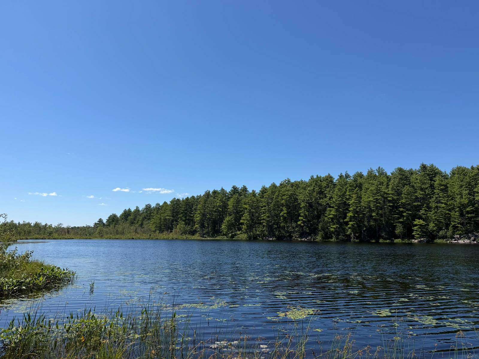 120 Acres of Recreational Land for Sale in Harrisville, New York