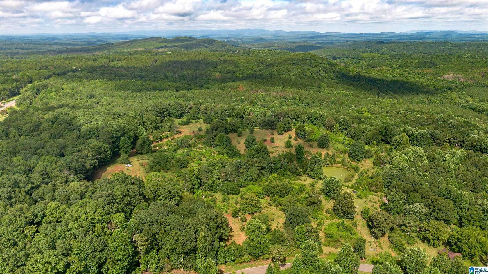 20 Acres of Land for Sale in Heflin, Alabama