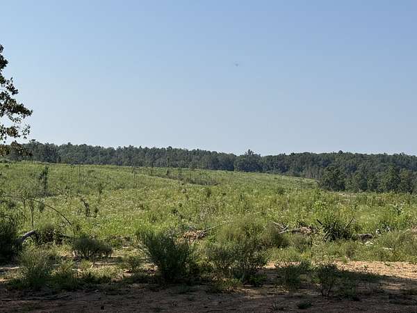 112 Acres of Recreational Land for Sale in Hohenwald, Tennessee