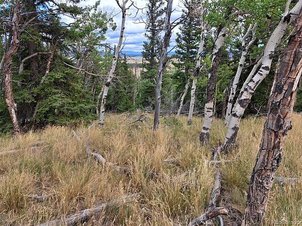 3.23 Acres of Residential Land for Sale in Fairplay, Colorado
