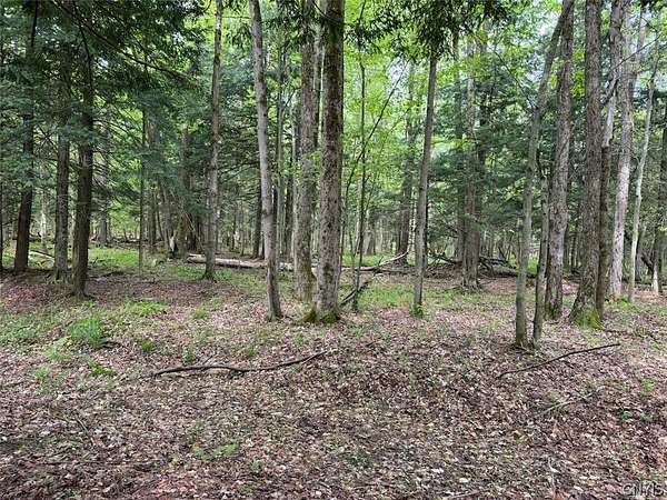 6.2 Acres of Land for Sale in South Dayton, New York