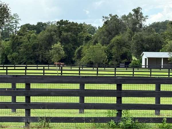5 Acres of Residential Land for Sale in Ocala, Florida