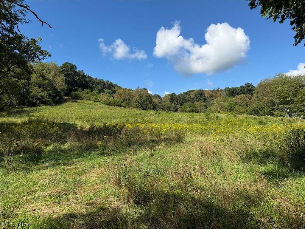 13.5 Acres of Land for Auction in Carrollton, Ohio