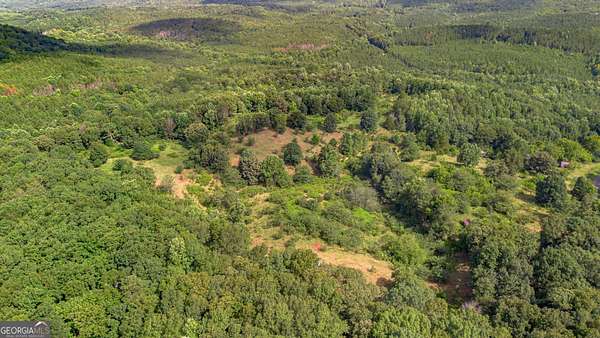 14 Acres of Land for Sale in Heflin, Alabama