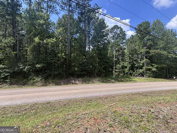 4.14 Acres of Residential Land for Sale in Martin, Georgia