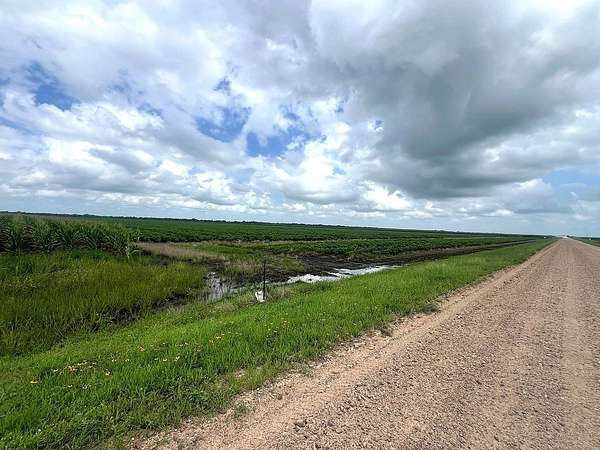 249 Acres of Agricultural Land for Sale in East Bernard, Texas