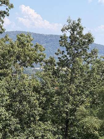 1.2 Acres of Residential Land for Sale in Roanoke, Virginia