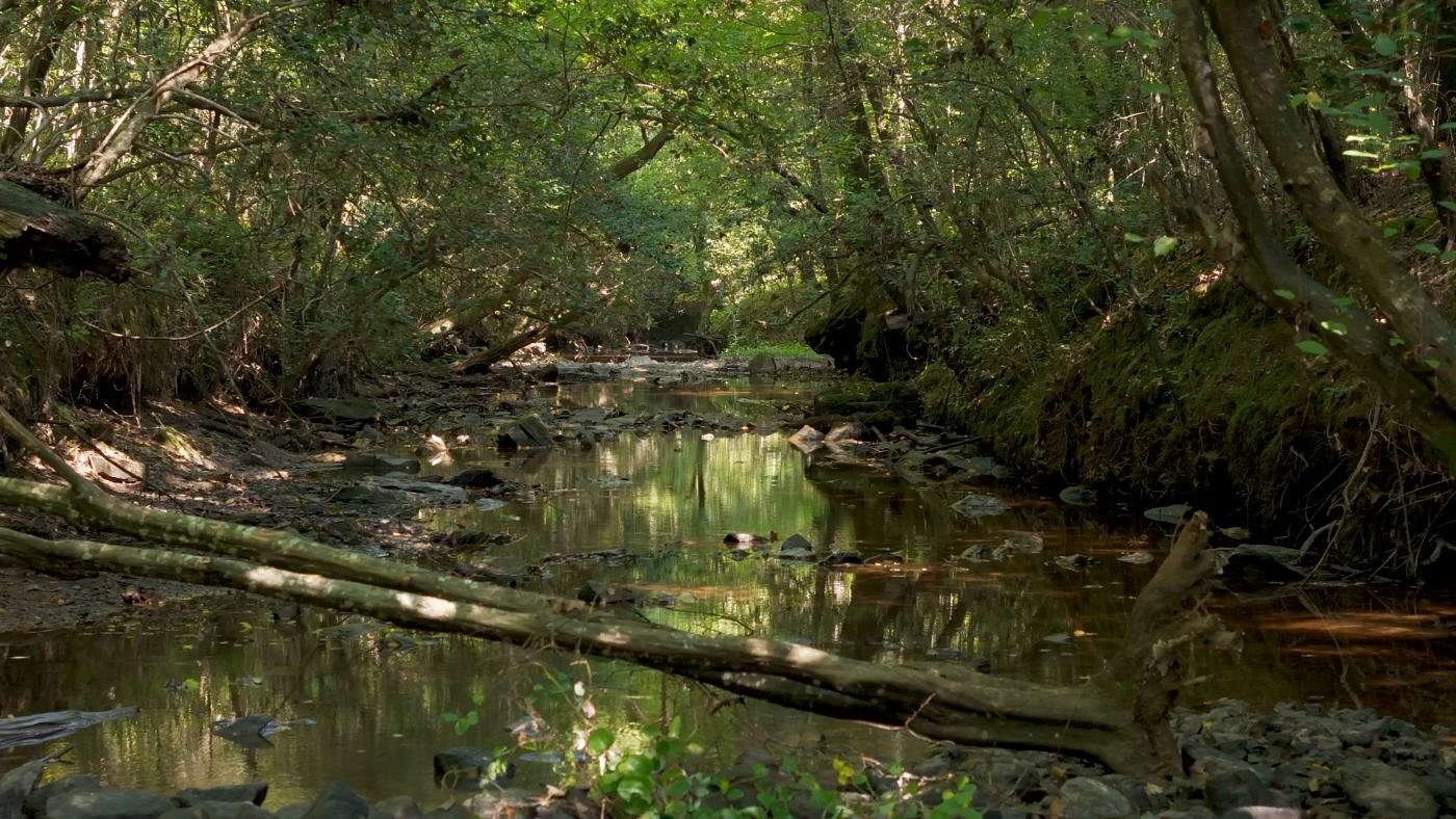 511 Acres of Land for Sale in Robbins, North Carolina