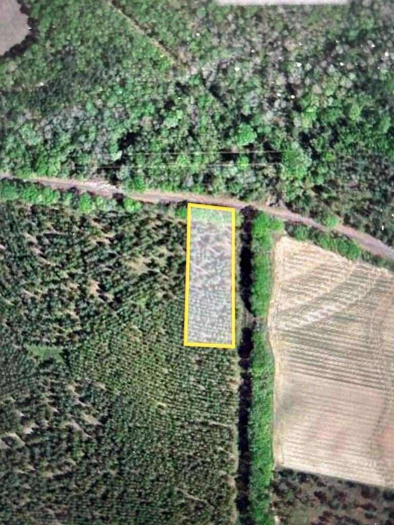 5 Acres of Residential Land for Sale in Headland, Alabama