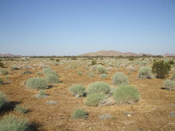 2.1 Acres of Residential Land for Sale in Rosamond, California