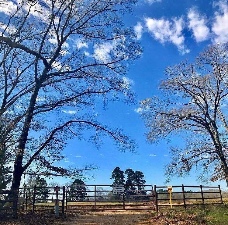 106 Acres of Land for Sale in Troup, Texas