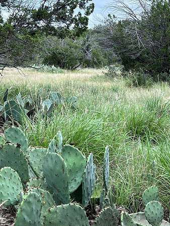 82.6 Acres of Land for Sale in Ozona, Texas
