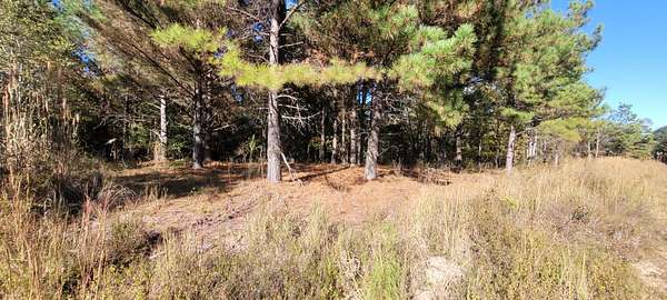 7.77 Acres of Residential Land for Sale in Dover, Tennessee