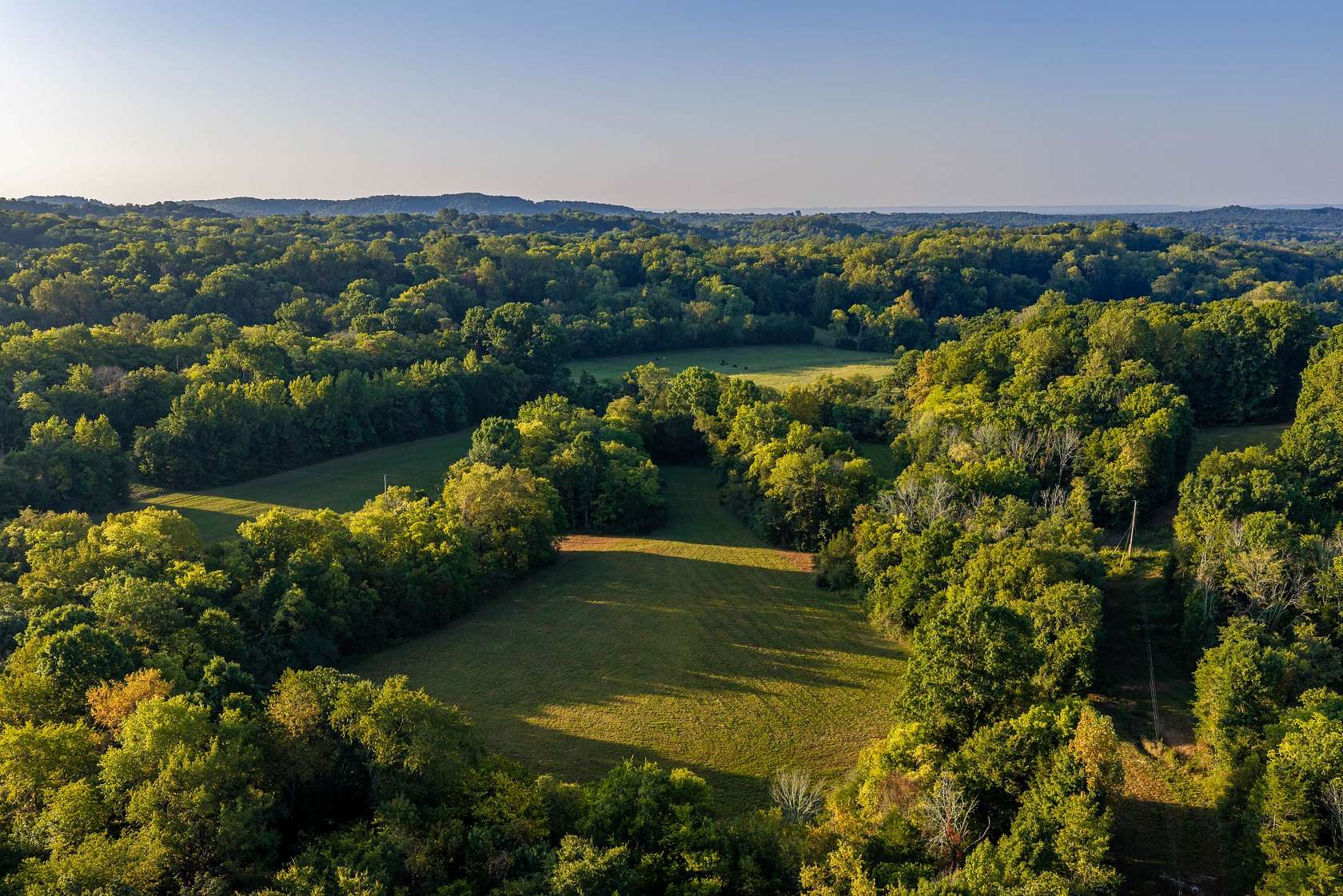 18 Acres of Land for Sale in College Grove, Tennessee