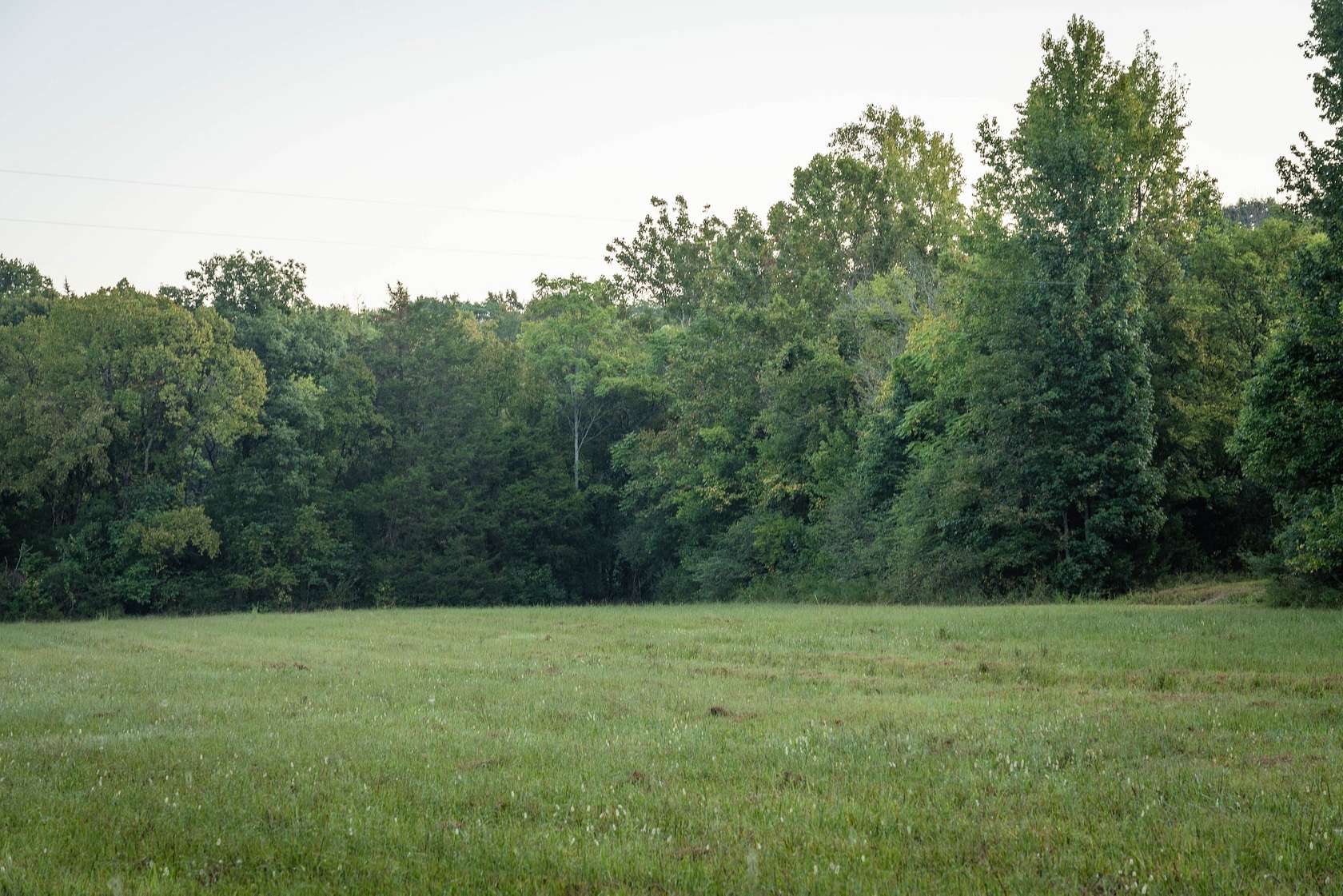 12 Acres of Land for Sale in College Grove, Tennessee