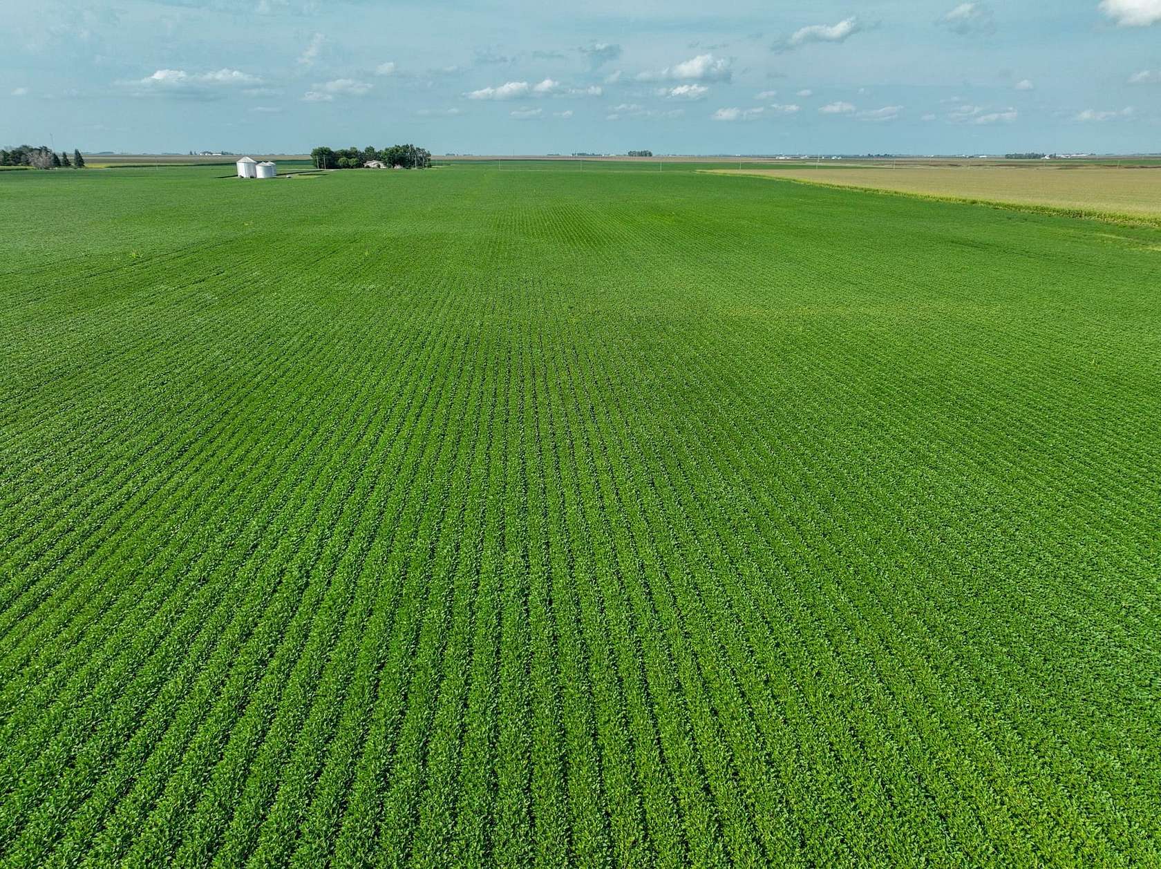40 Acres of Recreational Land for Sale in Clarion, Iowa