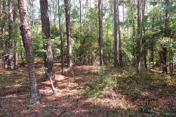 0.76 Acres of Land for Sale in Sparta, Georgia