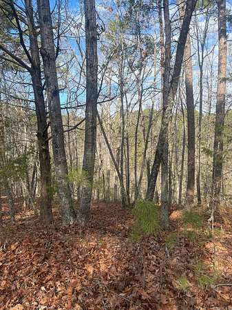 0.25 Acres of Residential Land for Sale in Fairfield Bay, Arkansas