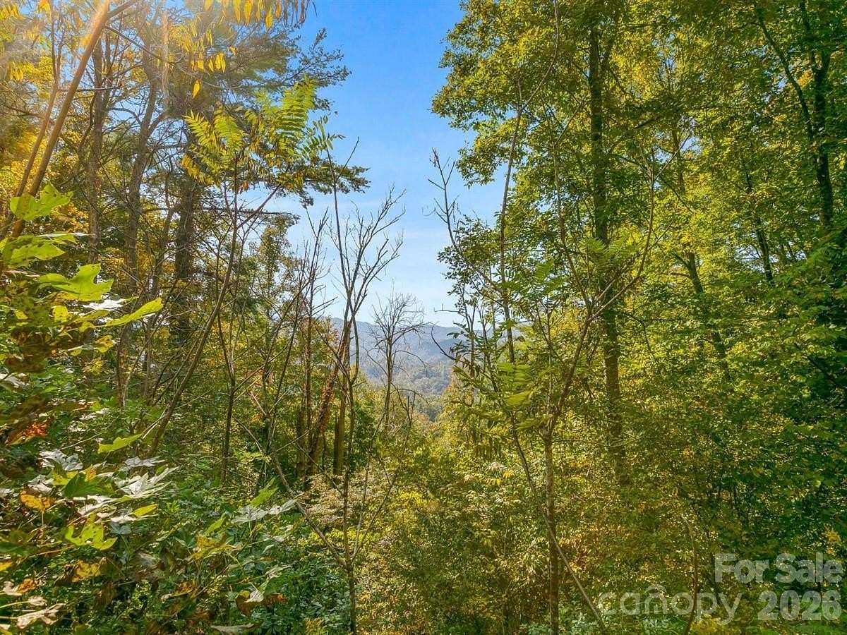 1.66 Acres of Residential Land for Sale in Marshall, North Carolina