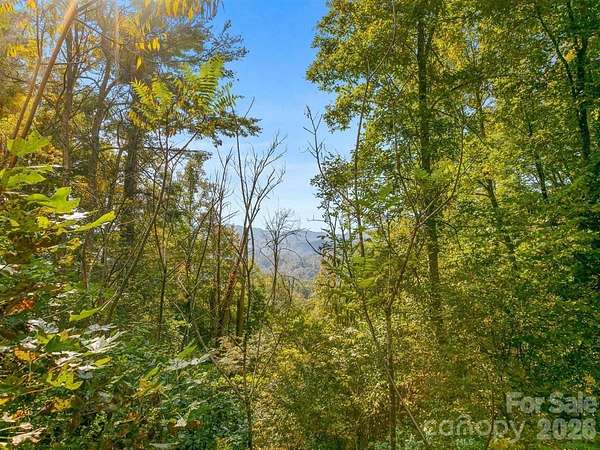1.66 Acres of Residential Land for Sale in Marshall, North Carolina
