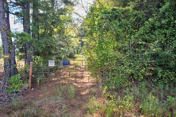 61.9 Acres of Recreational Land for Sale in Alto, Texas