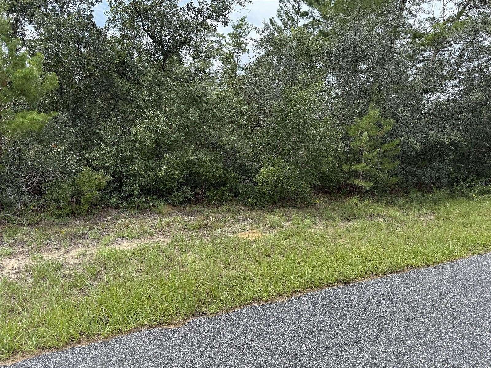 0.74 Acres of Land for Sale in Citrus Springs, Florida