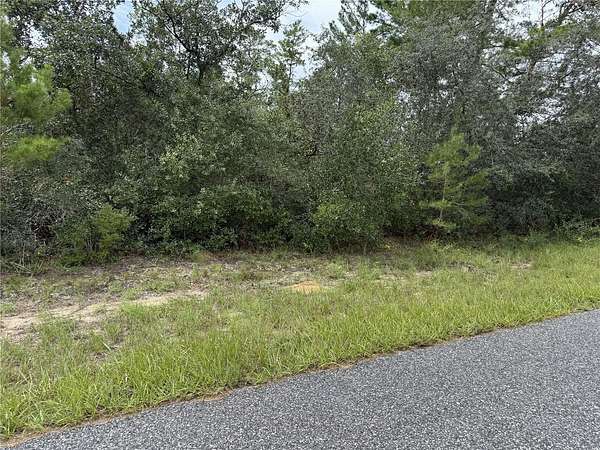 0.74 Acres of Land for Sale in Citrus Springs, Florida