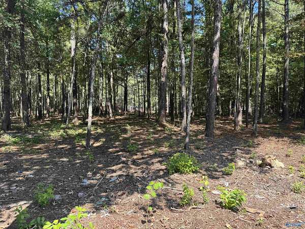 0.48 Acres of Land for Sale in Centre, Alabama