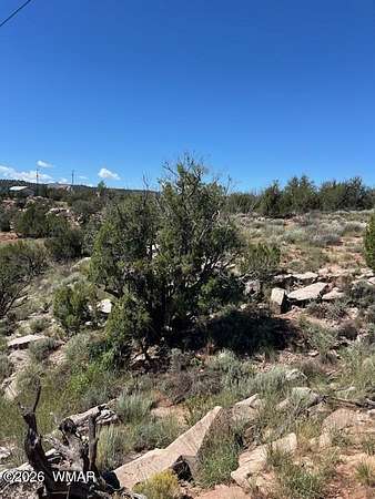 2.6 Acres of Land for Sale in Show Low, Arizona