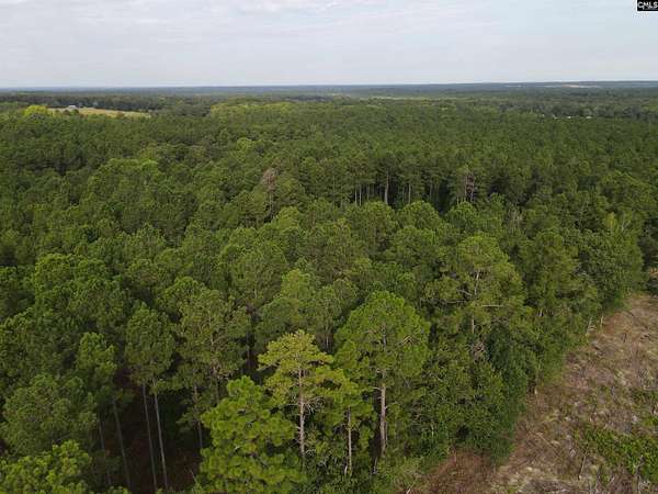 15 Acres of Recreational & Residential Land for Sale in Camden, South Carolina