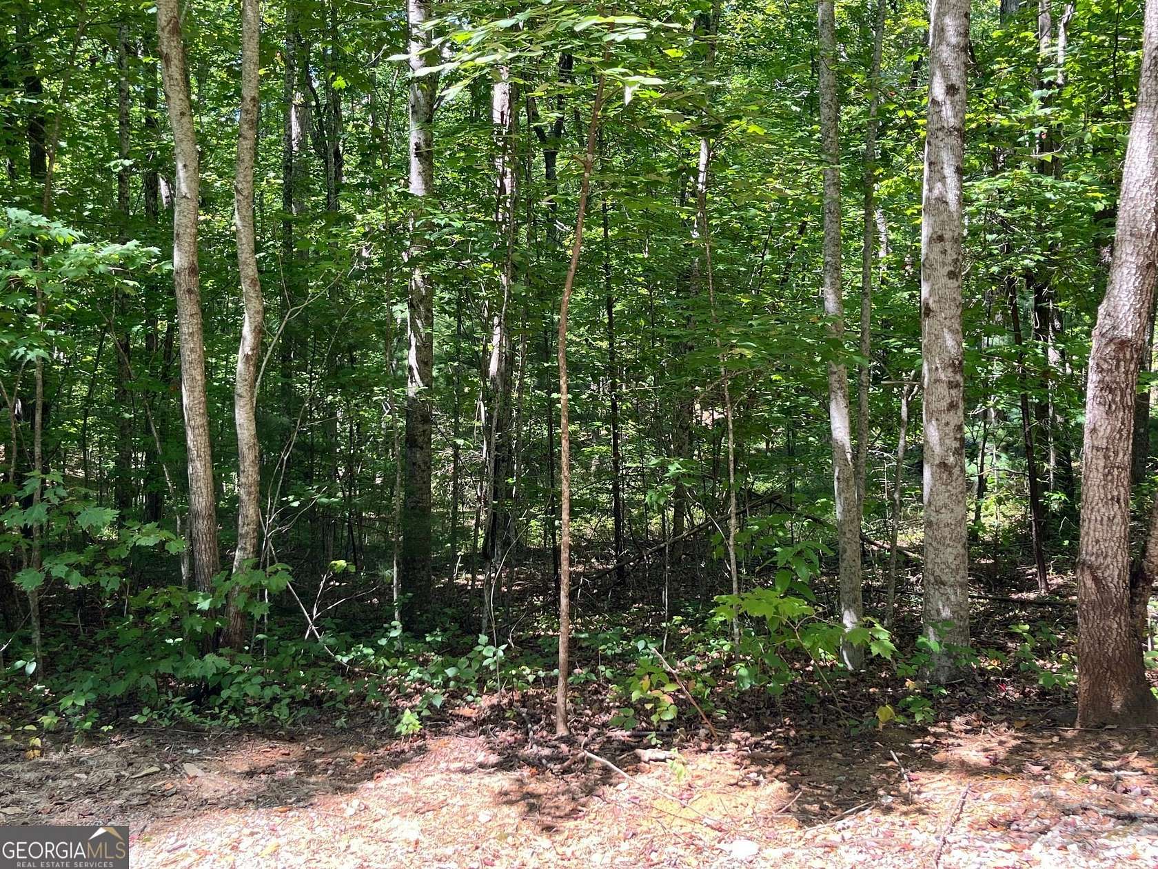 3.52 Acres of Residential Land for Sale in Clayton, Georgia