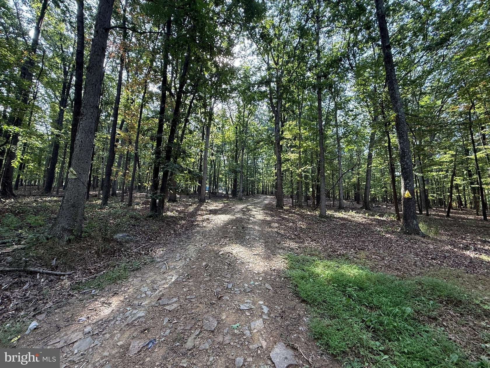 5 Acres of Residential Land for Sale in Slanesville, West Virginia