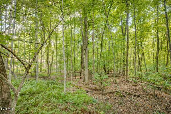 1.1 Acres of Residential Land for Sale in Butler, Tennessee