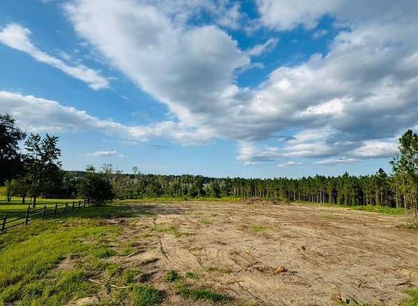 3 Acres of Land for Sale in Ocklawaha, Florida