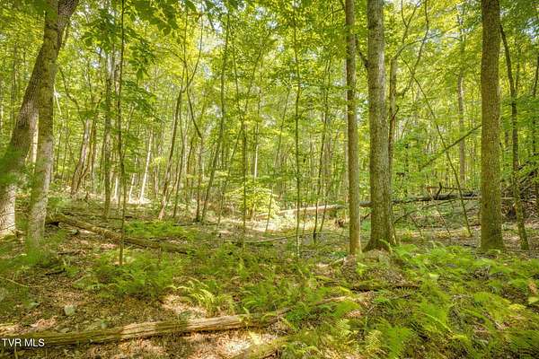 1 Acre of Residential Land for Sale in Butler, Tennessee