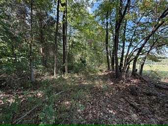 4 Acres of Residential Land for Sale in Greenville, Kentucky