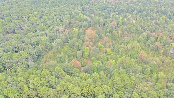 10 Acres of Recreational Land for Sale in Y City, Arkansas