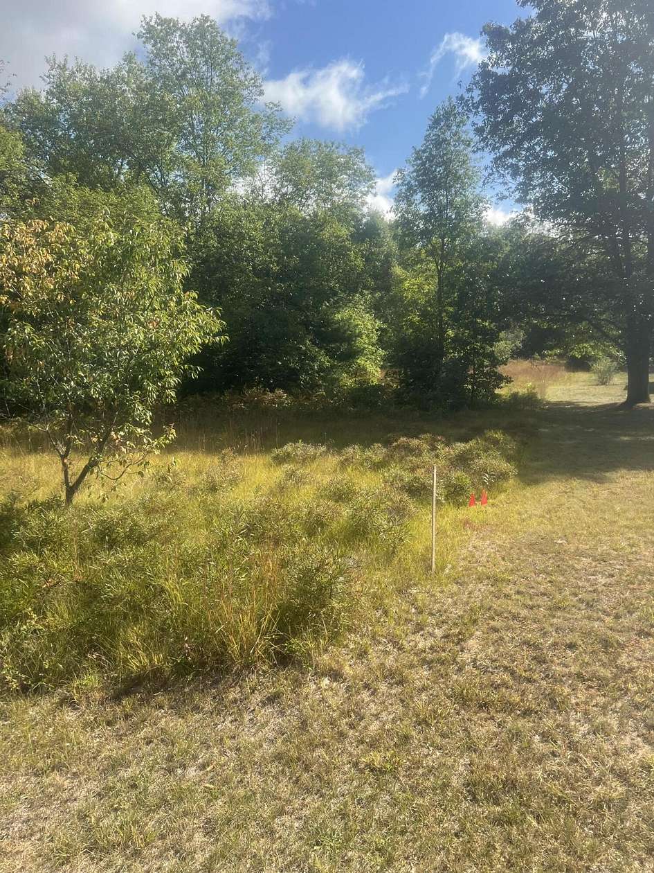 0.46 Acres of Land for Sale in Brethren, Michigan