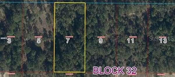 0.92 Acres of Residential Land for Sale in Bronson, Florida