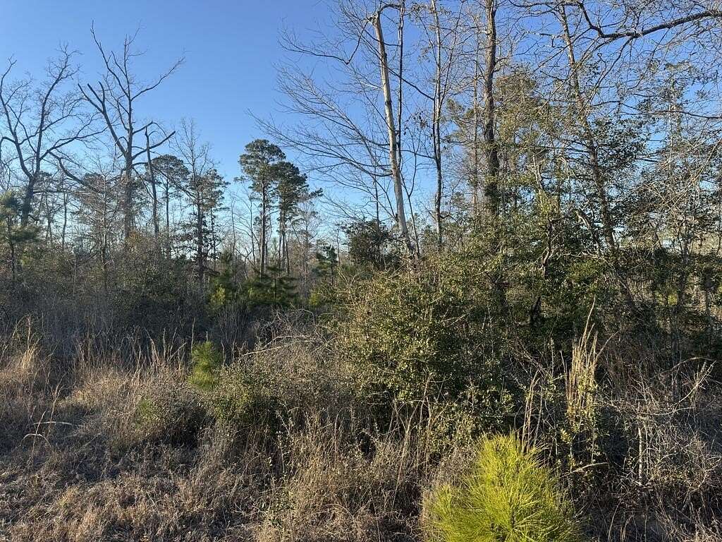 3 Acres of Residential Land for Sale in Jasper, Texas