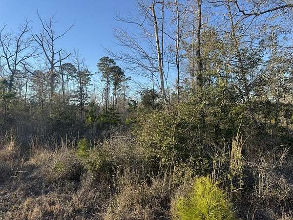 3 Acres of Residential Land for Sale in Jasper, Texas