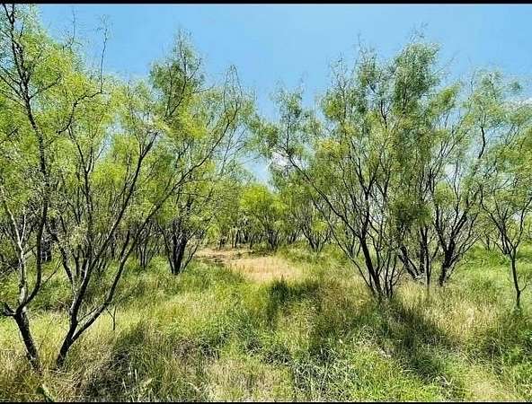 13 Acres of Land for Sale in Woodson, Texas