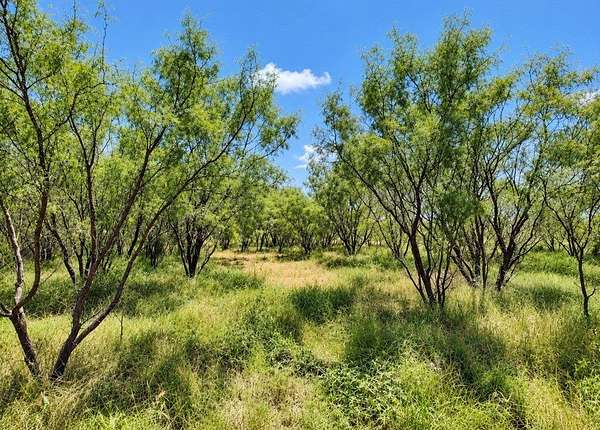13 Acres of Land for Sale in Woodson, Texas