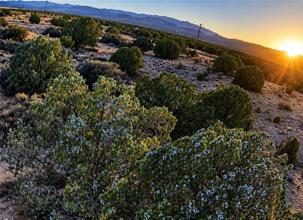5.47 Acres of Residential Land for Sale in Hackberry, Arizona